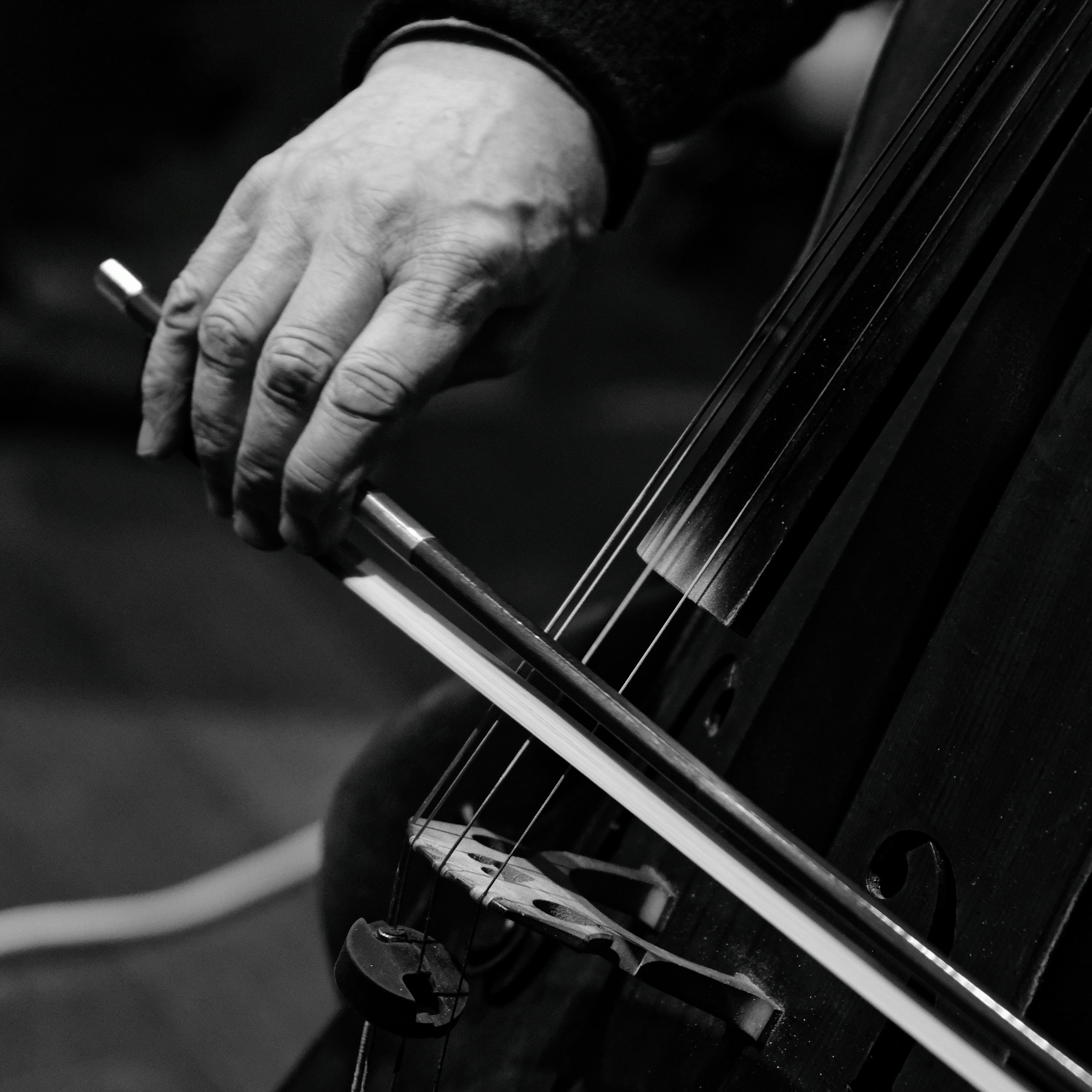 Orchestra